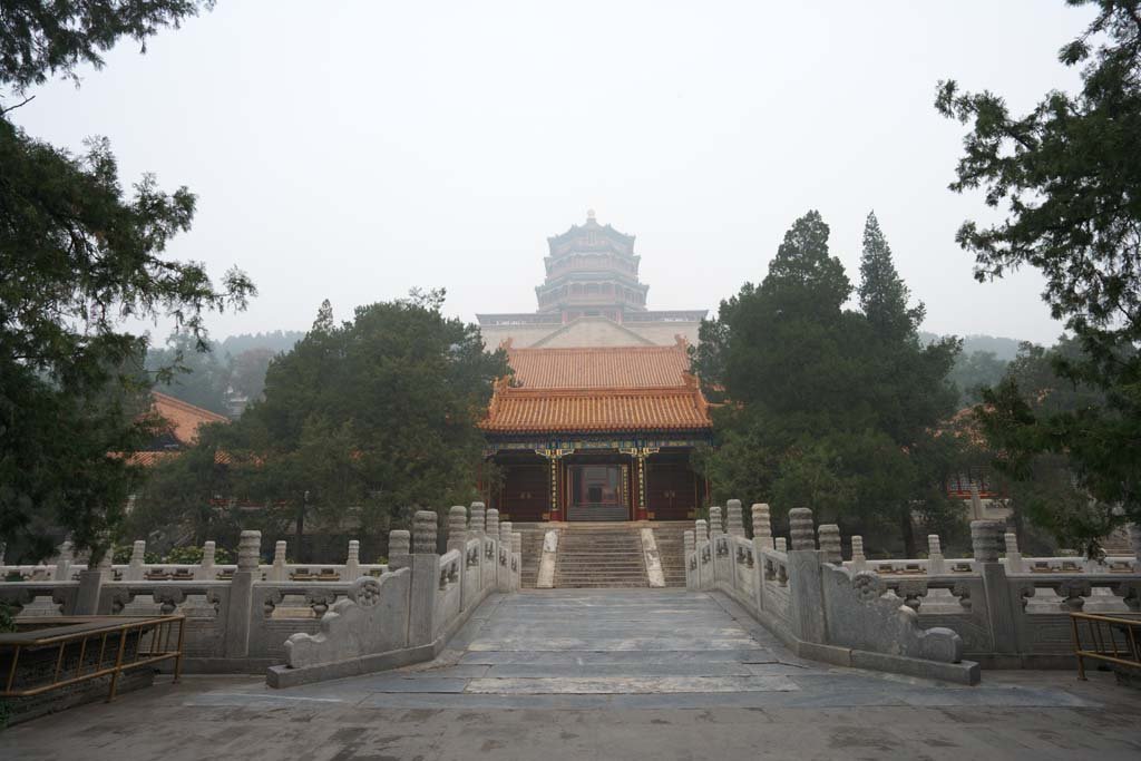 �ʐ^,�f��,����,�t���[,�t�H�g,�N���G�C�e�B�u�E�R�����Y,���i,�ǎ�,��a���̔r�_�a, ����, �΋�, ��h��, ������