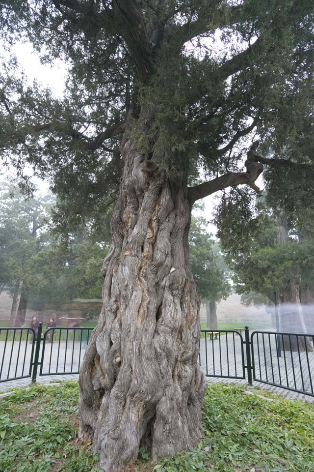 �ʐ^,�f��,����,�t���[,�t�H�g,�N���G�C�e�B�u�E�R�����Y,���i,�ǎ�,�V�d�̋㗴��, ��, ��, ��, ���˂�