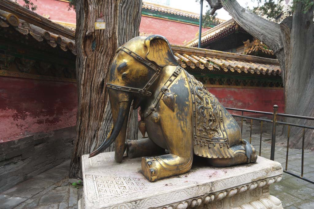 �ʐ^,�f��,����,�t���[,�t�H�g,�N���G�C�e�B�u�E�R�����Y,���i,�ǎ�,�̋{�̑�, ��, ��, ���F, ���E��Y