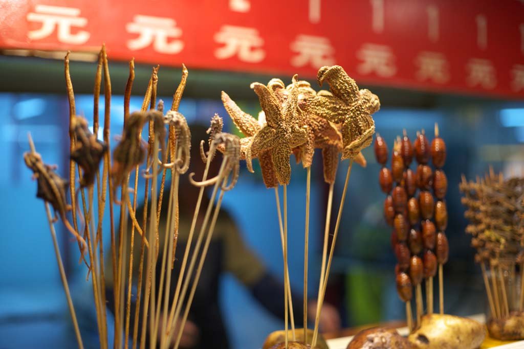 �ʐ^,�f��,����,�t���[,�t�H�g,�N���G�C�e�B�u�E�R�����Y,���i,�ǎ�,�q�g�f�̋�, �ЂƂ�, �q�g�f, �J�C�R, �^�c�m�I�g�V�S