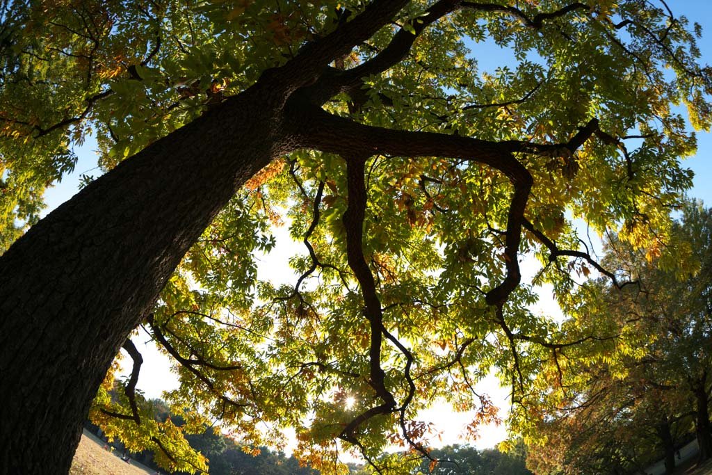 �ʐ^,�f��,����,�t���[,�t�H�g,�N���G�C�e�B�u�E�R�����Y,���i,�ǎ�,�H�̌���, ��, ��, ��, �g�t