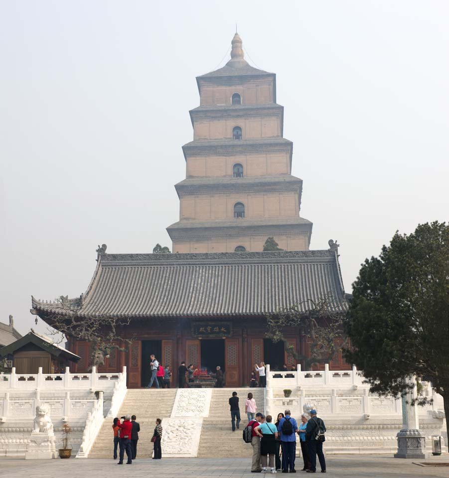 �ʐ^,�f��,����,�t���[,�t�H�g,�N���G�C�e�B�u�E�R�����Y,���i,�ǎ�,��哃, ��������Ƃ�, �����c�@, �T���X�N���b�g��o�T, ���V�L