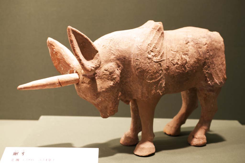 �ʐ^,�f��,����,�t���[,�t�H�g,�N���G�C�e�B�u�E�R�����Y,���i,�ǎ�,�Ɗp�b, �Ñ㒆��, �b, ���j�R�[��, ����