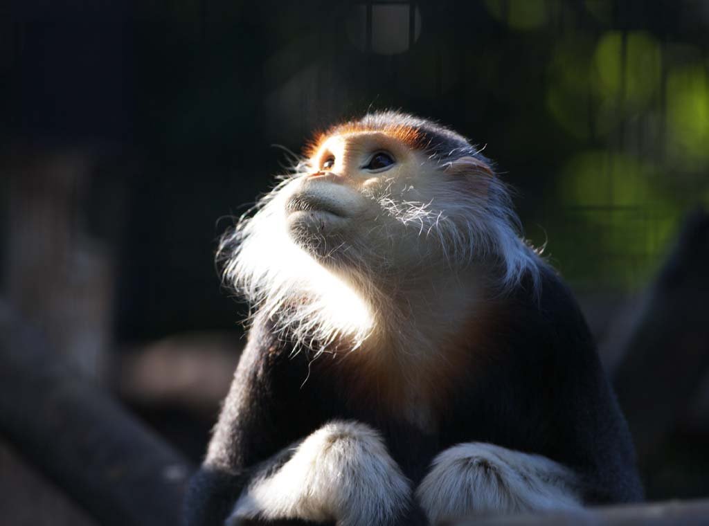 �ʐ^,�f��,����,�t���[,�t�H�g,�N���G�C�e�B�u�E�R�����Y,���i,�ǎ�,�h�D�N�����O�[��, ����, �T��, ��, �I�i�K�U��