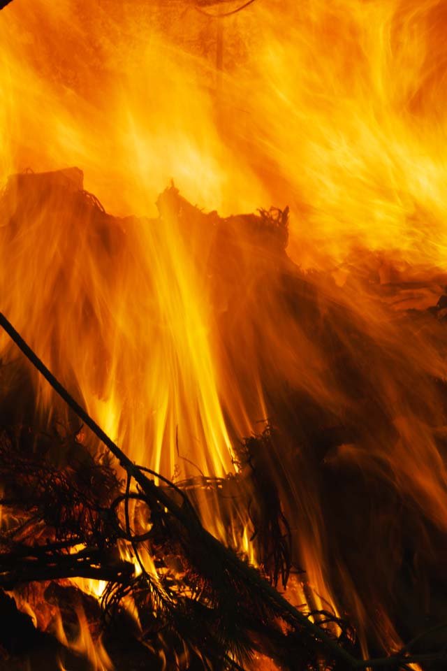 �ʐ^,�f��,����,�t���[,�t�H�g,�N���G�C�e�B�u�E�R�����Y,���i,�ǎ�,����������, ��, ����, �΍Ղ�, �N�_