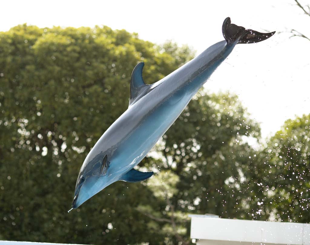 �ʐ^,�f��,����,�t���[,�t�H�g,�N���G�C�e�B�u�E�R�����Y,���i,�ǎ�,�C���J�̃W�����v, ���邩, �C��, �V���[, �q��