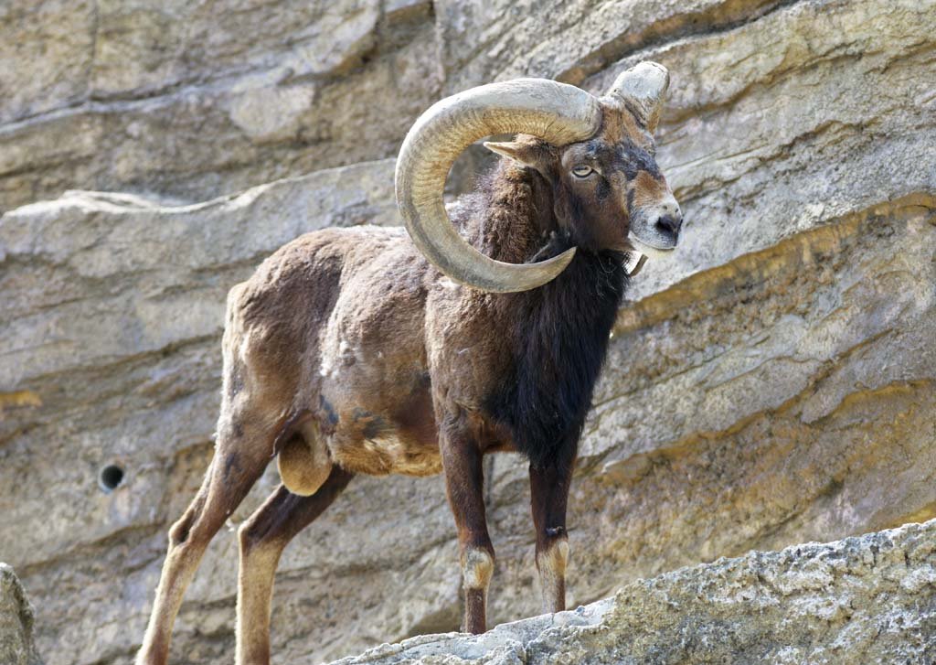 �ʐ^,�f��,����,�t���[,�t�H�g,�N���G�C�e�B�u�E�R�����Y,���i,�ǎ�,���t����, �p, �c�m, �r, �q�c�W