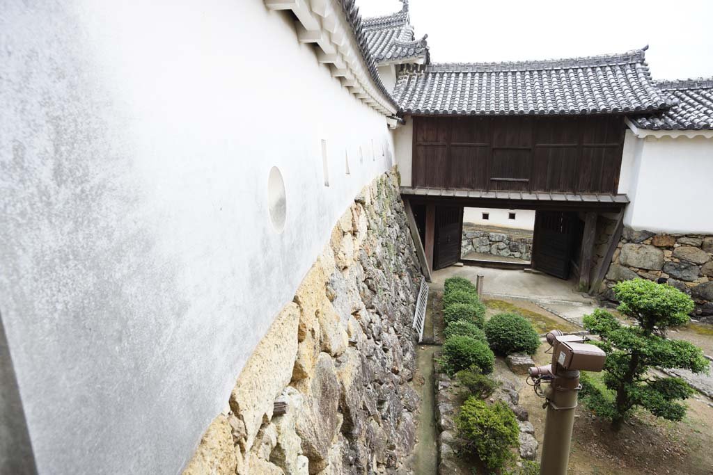 �ʐ^,�f��,����,�t���[,�t�H�g,�N���G�C�e�B�u�E�R�����Y,���i,�ǎ�,�P�H��, ����l��, �ԏ����, ���c�d��, �H�ďG�g