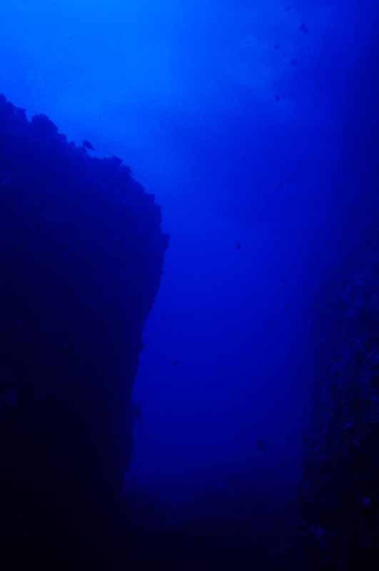 �ʐ^,�f��,����,�t���[,�t�H�g,�N���G�C�e�B�u�E�R�����Y,���i,�ǎ�,�[�C�ցA�A�A, �A, ��, , 