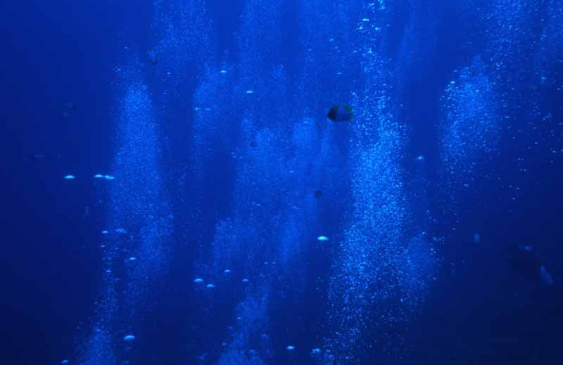 photo,material,free,landscape,picture,stock photo,Creative Commons,Fish in the columns of bubbles, fish, blue, , 