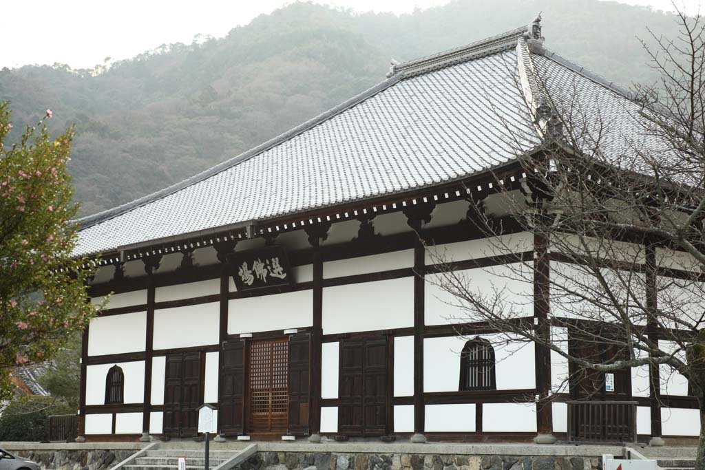 �ʐ^,�f��,����,�t���[,�t�H�g,�N���G�C�e�B�u�E�R�����Y,���i,�ǎ�,�V�����@�I����, �������@, ���T, ���E��Y, �����