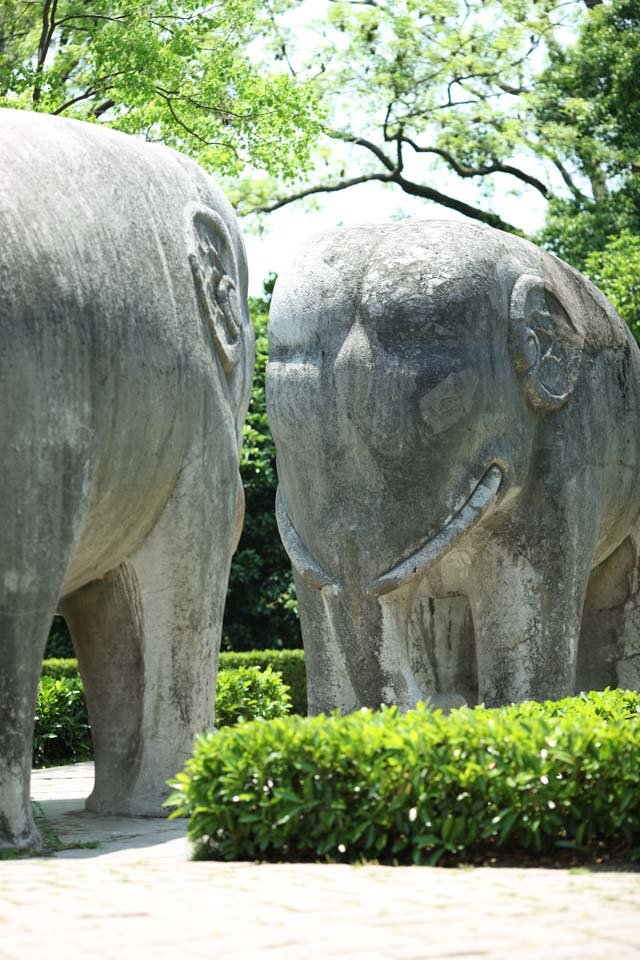 �ʐ^,�f��,����,�t���[,�t�H�g,�N���G�C�e�B�u�E�R�����Y,���i,�ǎ�,���F�ˁ@�Α��H, ���, �Α�, �Q��, ���E��Y