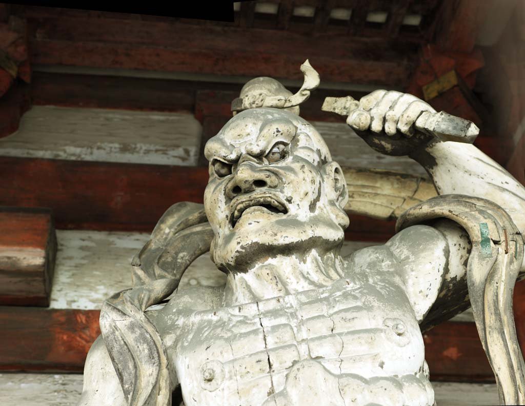 �ʐ^,�f��,����,�t���[,�t�H�g,�N���G�C�e�B�u�E�R�����Y,���i,�ǎ�,�m�a���@�����͎m��, �m����, ����, ���_, ��@�P�_