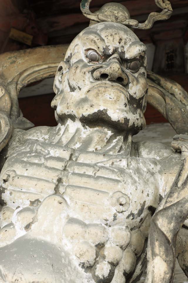 �ʐ^,�f��,����,�t���[,�t�H�g,�N���G�C�e�B�u�E�R�����Y,���i,�ǎ�,�m�a���@�����͎m��, �m����, ����, ���_, ��@�P�_