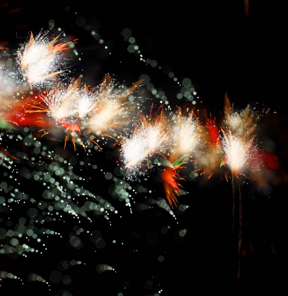 �ʐ^,�f��,����,�t���[,�t�H�g,�N���G�C�e�B�u�E�R�����Y,���i,�ǎ�,�ł��グ�ԉ�, �Ζ�, �X�^�[�}�C��, �ŏ�, �Ă̕�����