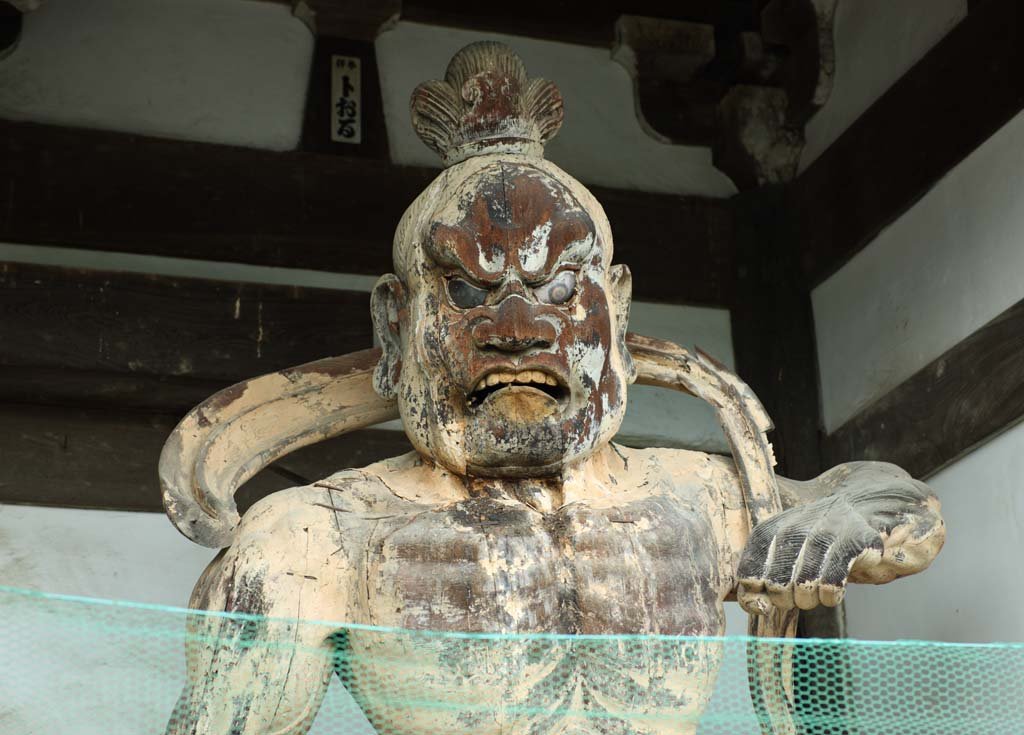 �ʐ^,�f��,����,�t���[,�t�H�g,�N���G�C�e�B�u�E�R�����Y,���i,�ǎ�,�c�����@�m����, ����, �m��, �����͎m��, ���@�W�����_��