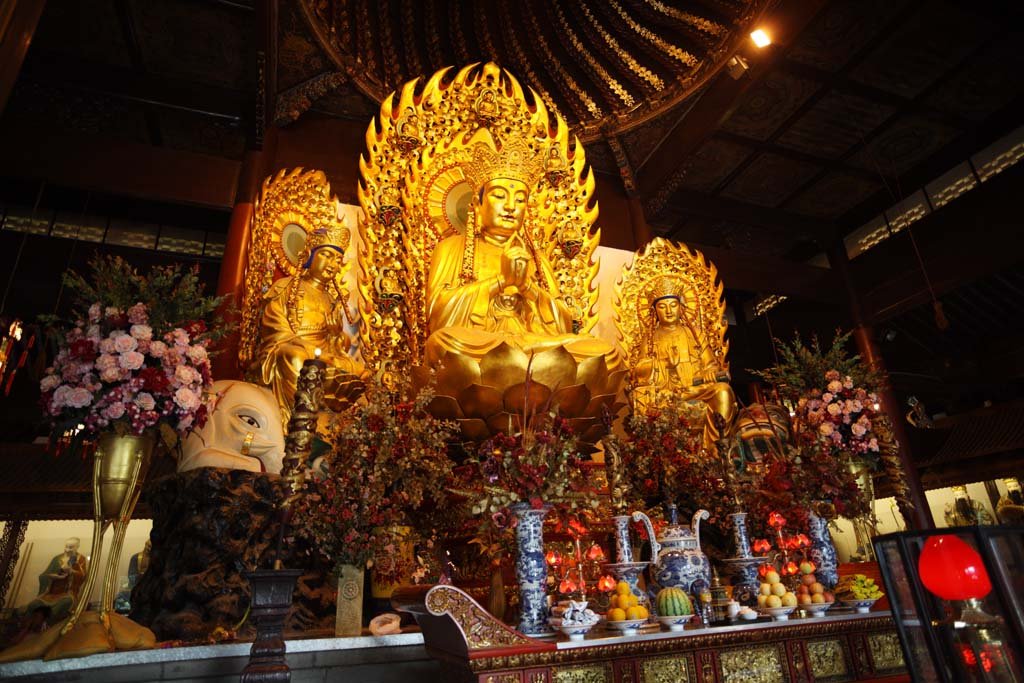 �ʐ^,�f��,����,�t���[,�t�H�g,�N���G�C�e�B�u�E�R�����Y,���i,�ǎ�,���؎��@����, ����, ����, ���F, ����