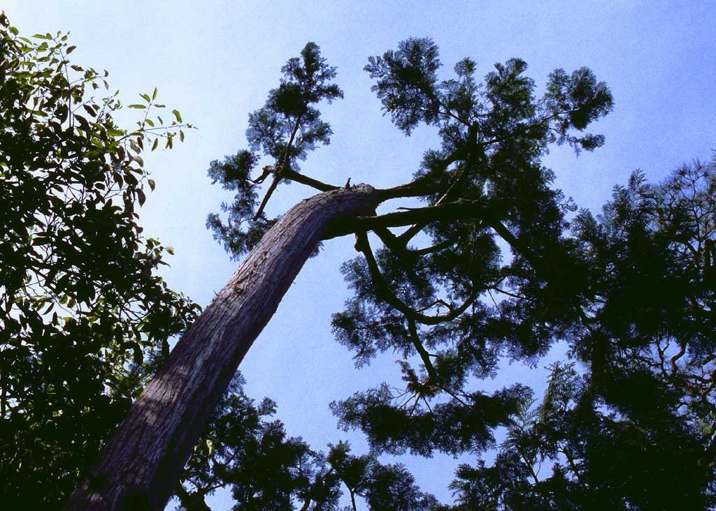 �ʐ^,�f��,����,�t���[,�t�H�g,�N���G�C�e�B�u�E�R�����Y,���i,�ǎ�,�����ԉ�, �}, ��, , 