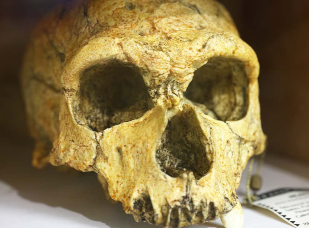 �ʐ^,�f��,����,�t���[,�t�H�g,�N���G�C�e�B�u�E�R�����Y,���i,�ǎ�,�[��, ����, �[��, ���l, �h�N��