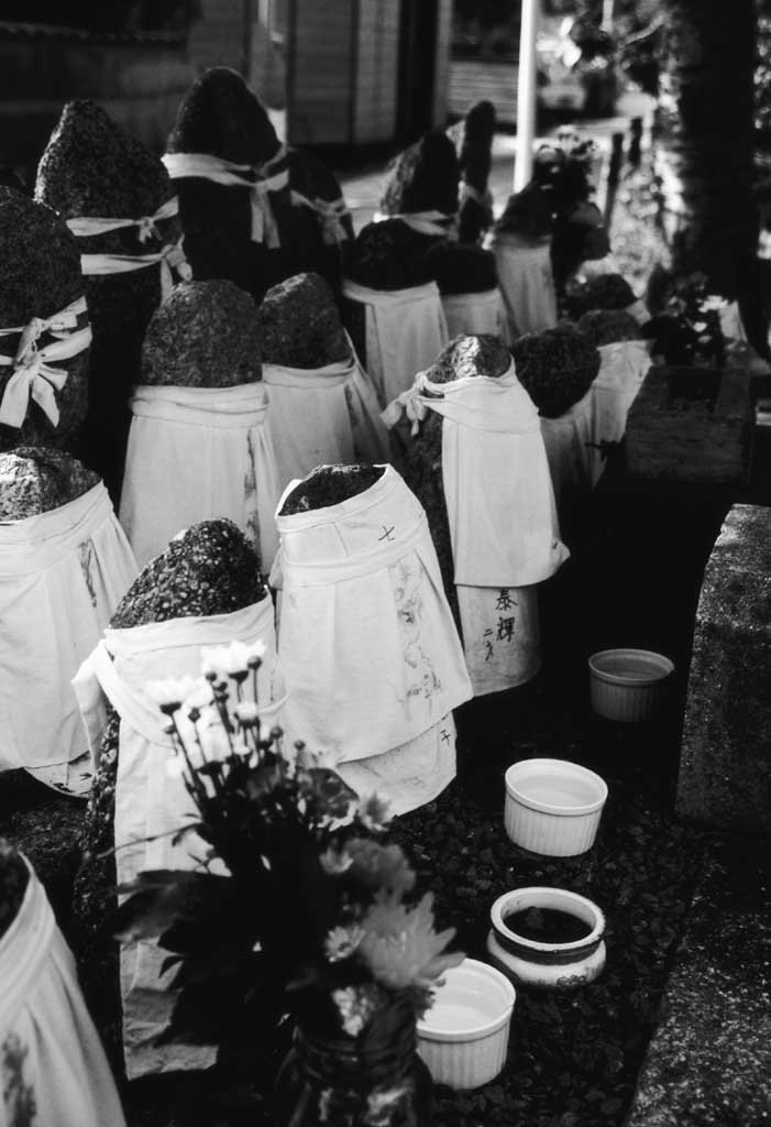 �ʐ^,�f��,����,�t���[,�t�H�g,�N���G�C�e�B�u�E�R�����Y,���i,�ǎ�,�n������, �N�w�̓�, �n��, , 