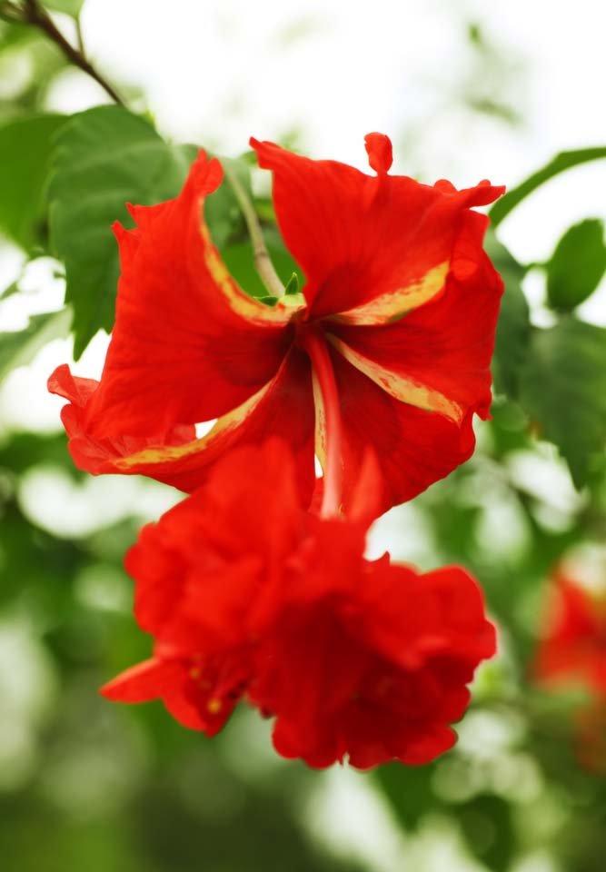 �ʐ^,�f��,����,�t���[,�t�H�g,�N���G�C�e�B�u�E�R�����Y,���i,�ǎ�,�M�т̐�, ��, ����, �ԕ�, �؂₩