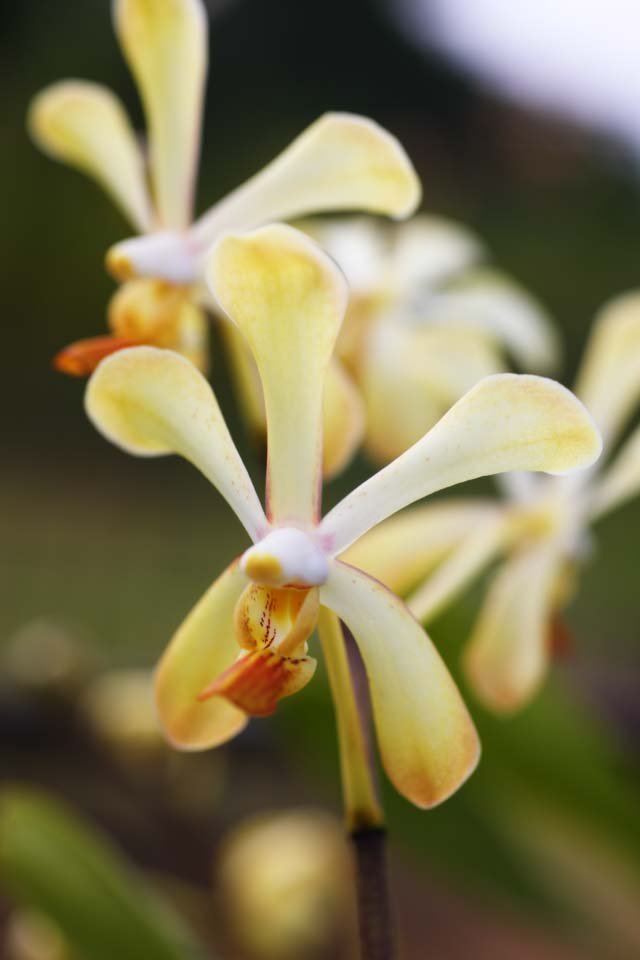 �ʐ^,�f��,����,�t���[,�t�H�g,�N���G�C�e�B�u�E�R�����Y,���i,�ǎ�,�N���[���F�̗�, ��, ����, �ԕ�, �؂₩