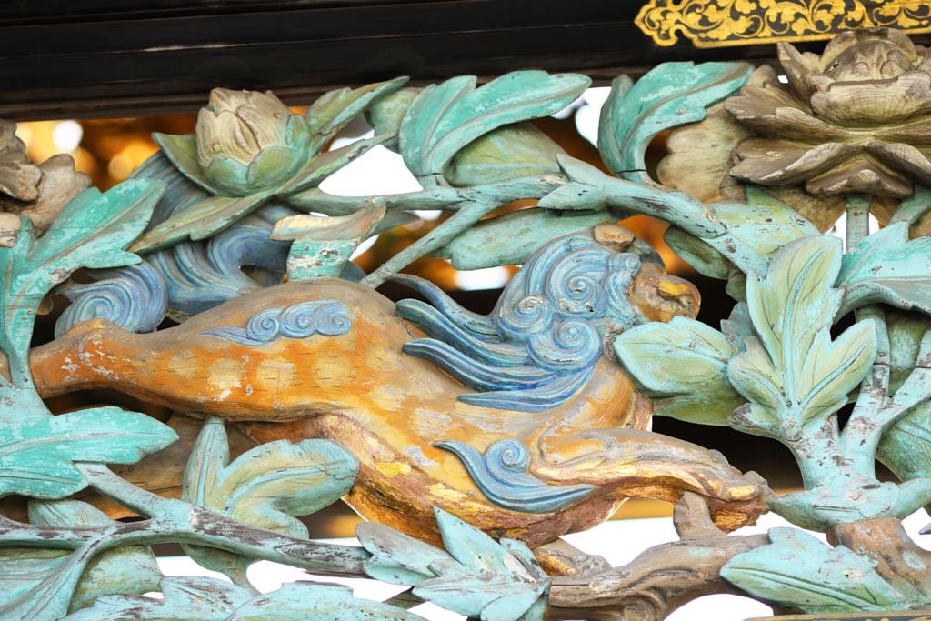 �ʐ^,�f��,����,�t���[,�t�H�g,�N���G�C�e�B�u�E�R�����Y,���i,�ǎ�,���{�莛 ����, �{�莛, �������@, �e�a, ����炵��