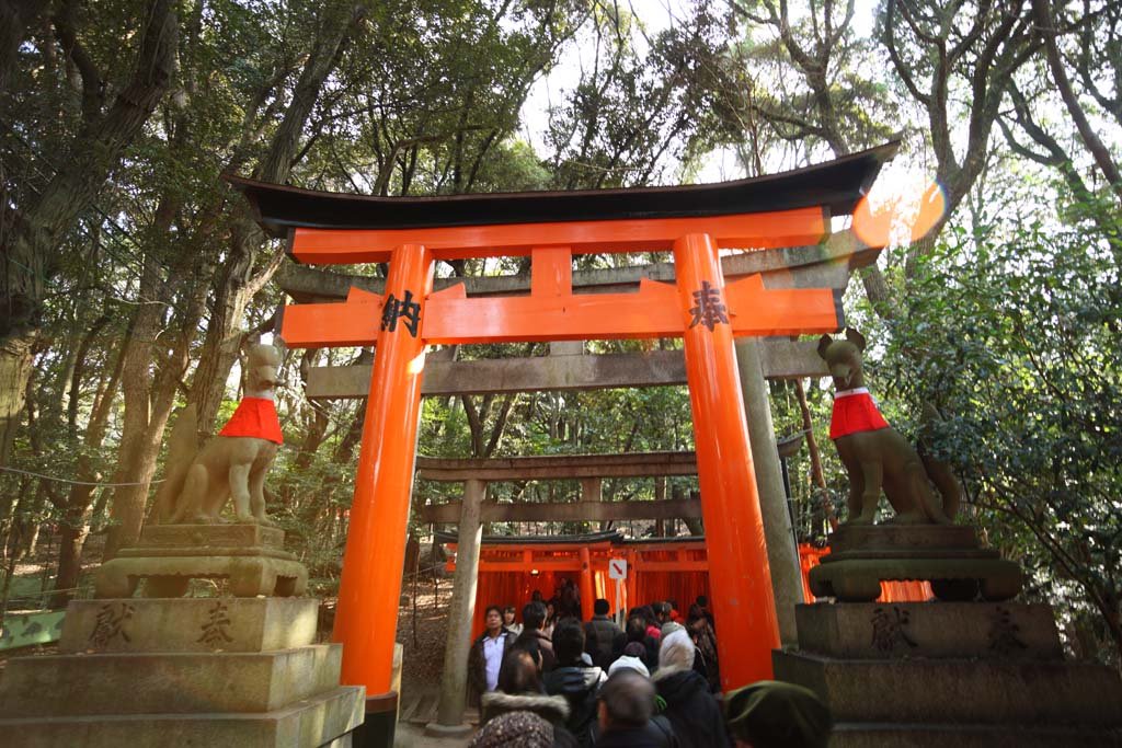 �ʐ^,�f��,����,�t���[,�t�H�g,�N���G�C�e�B�u�E�R�����Y,���i,�ǎ�,������ב�� ��{����, ���w, ����, ����ׂ���, ��