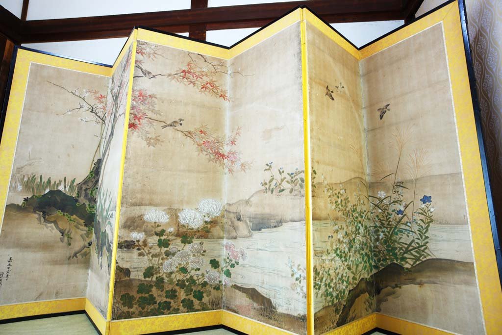 �ʐ^,�f��,����,�t���[,�t�H�g,�N���G�C�e�B�u�E�R�����Y,���i,�ǎ�,������䎑ɉ@�@��M��, �������@, ���{�G��, ����, �a��