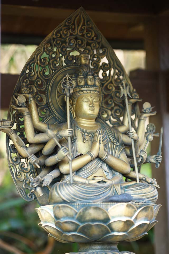 �ʐ^,�f��,����,�t���[,�t�H�g,�N���G�C�e�B�u�E�R�����Y,���i,�ǎ�,���J���@����, ����, ��, ����, �������@