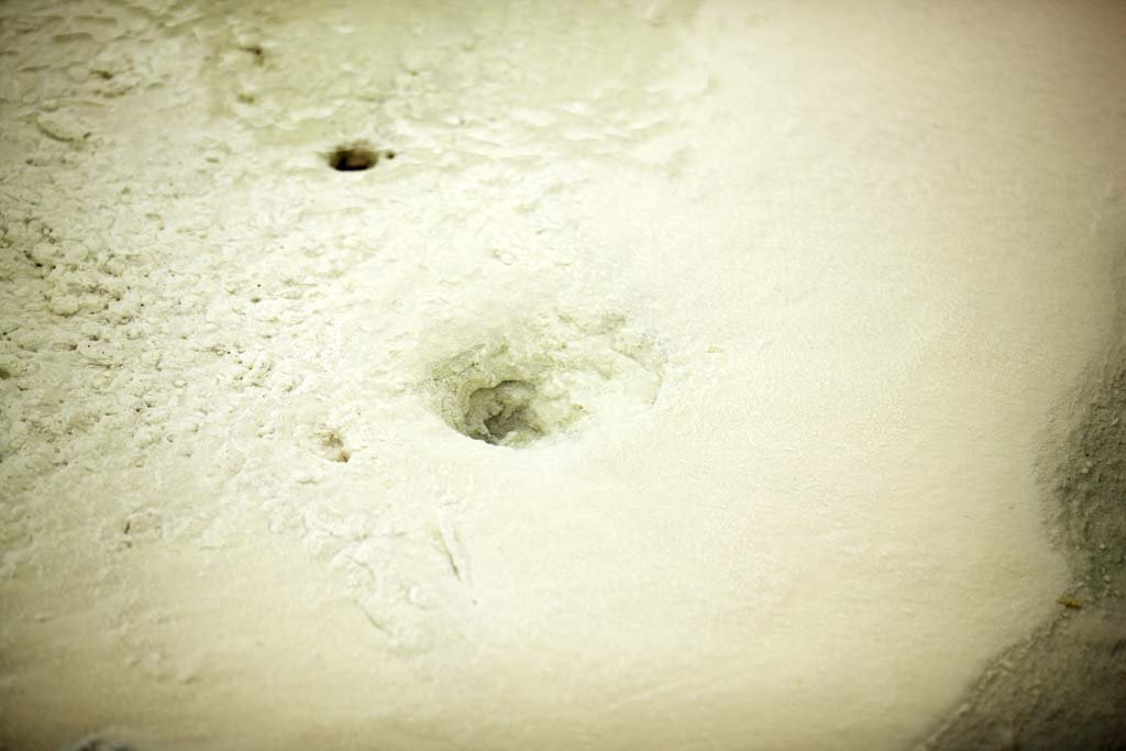 �ʐ^,�f��,����,�t���[,�t�H�g,�N���G�C�e�B�u�E�R�����Y,���i,�ǎ�,���É���@����, ��, ����, ����, ����