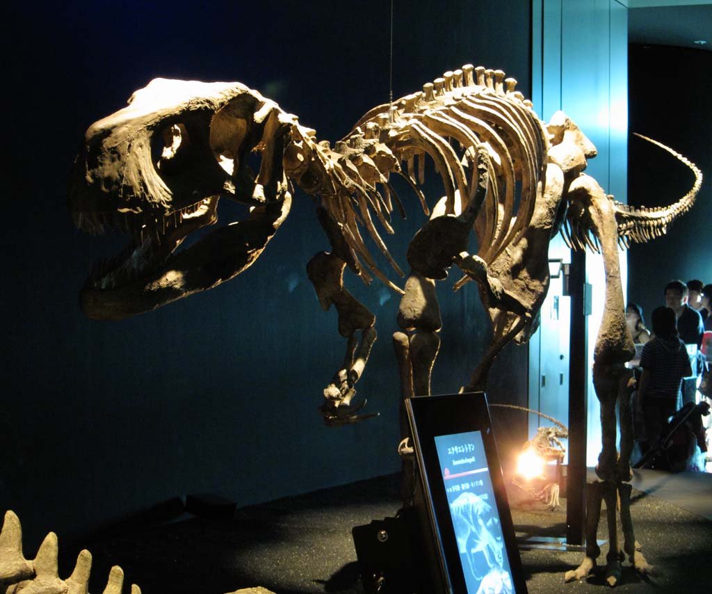 �ʐ^,�f��,����,�t���[,�t�H�g,�N���G�C�e�B�u�E�R�����Y,���i,�ǎ�,�����̉���, ����, ����, �֖�, �Ñ�