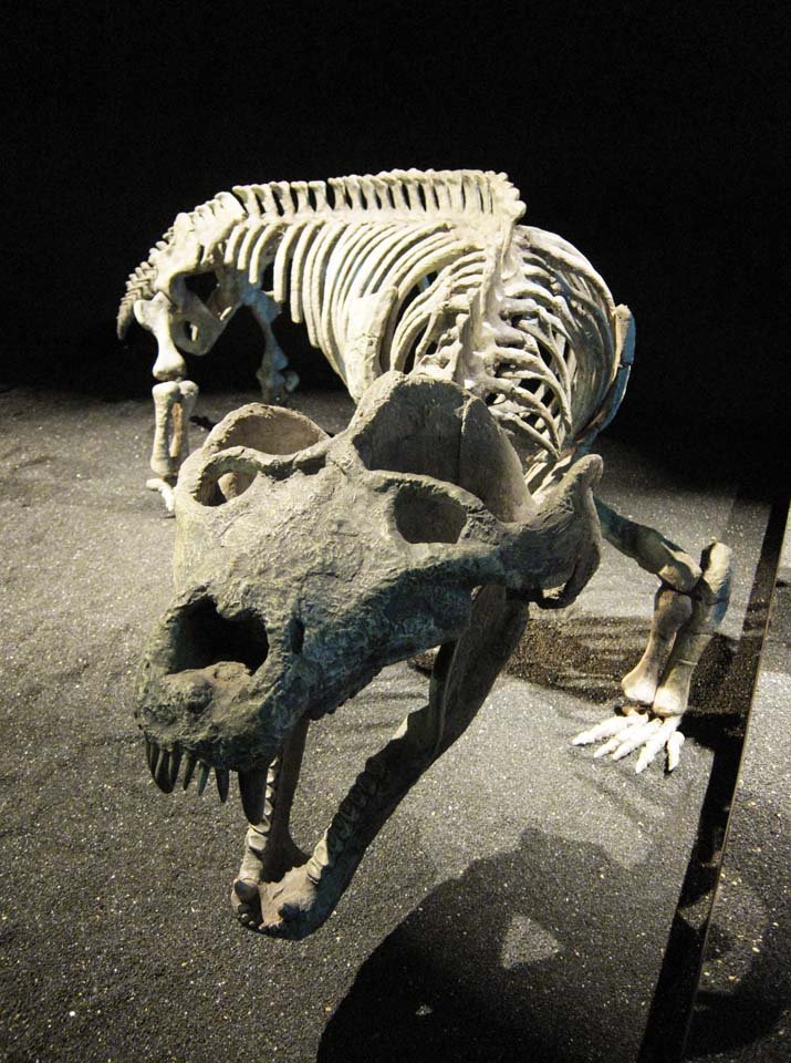 �ʐ^,�f��,����,�t���[,�t�H�g,�N���G�C�e�B�u�E�R�����Y,���i,�ǎ�,�M���ނ̉���, ����, �M����, �֖�, �Ñ�