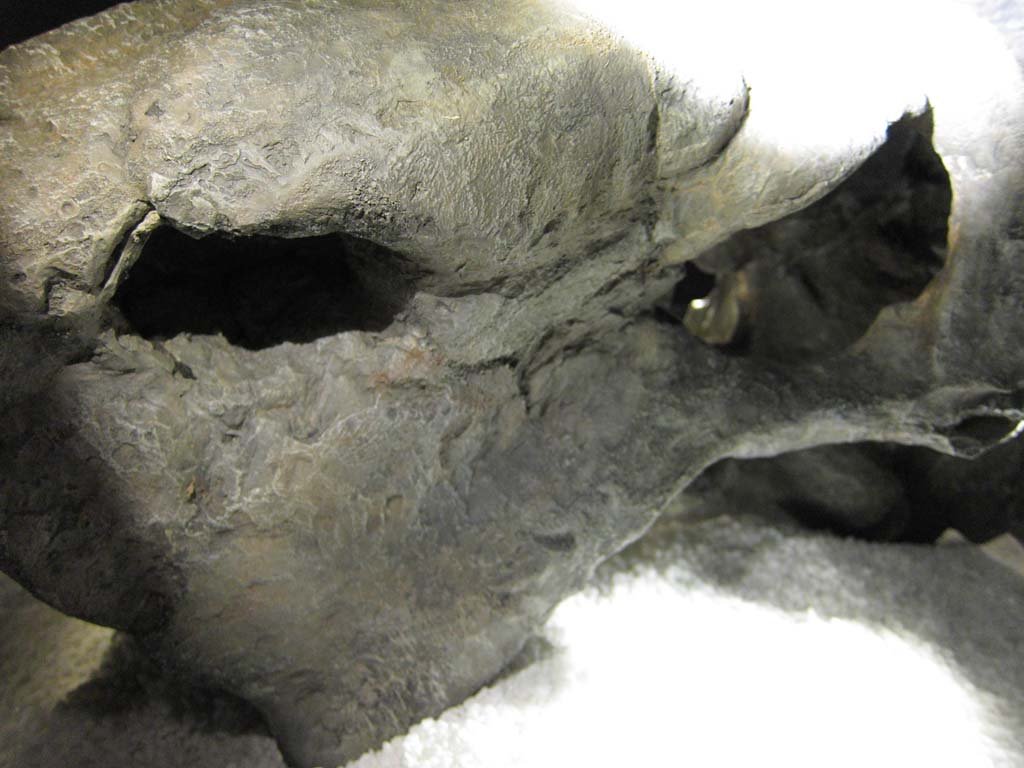 �ʐ^,�f��,����,�t���[,�t�H�g,�N���G�C�e�B�u�E�R�����Y,���i,�ǎ�,�����̉���, ����, ����, �֖�, �Ñ�