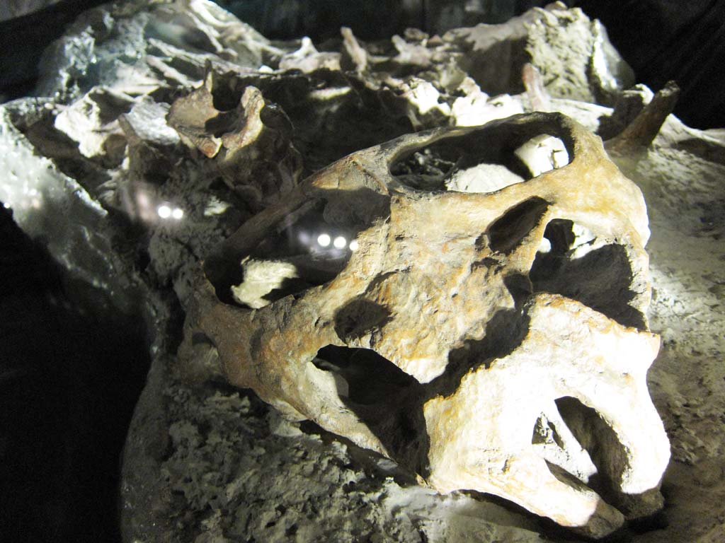 �ʐ^,�f��,����,�t���[,�t�H�g,�N���G�C�e�B�u�E�R�����Y,���i,�ǎ�,�����̉���, ����, ����, �֖�, �Ñ�