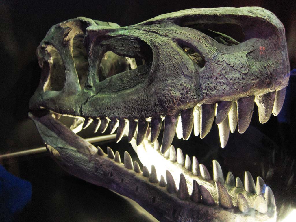 �ʐ^,�f��,����,�t���[,�t�H�g,�N���G�C�e�B�u�E�R�����Y,���i,�ǎ�,�����̉���, ����, ����, �֖�, �Ñ�