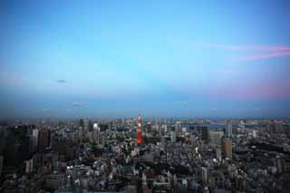 foto,tela,gratis,paisaje,fotografa,idea,Tokio entero opinin, Tokyo Tower, Edificio alto, Baha de Tokio, La rea del centro de la ciudad