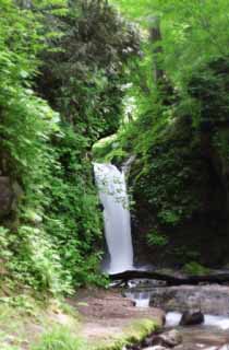 Foto, materiell, befreit, Landschaft, Bild, hat Foto auf Lager,Ryugaeshi-Wasserfall, Wasserfall, Fluss, zartes Grn, 