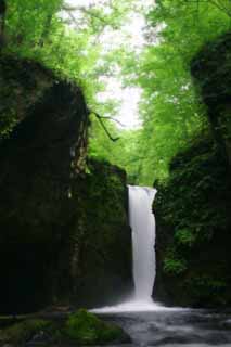 Foto, materiell, befreit, Landschaft, Bild, hat Foto auf Lager,Ryugaeshi-Wasserfall, Wasserfall, Fluss, zartes Grn, 