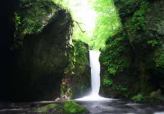 Foto, materieel, vrij, landschap, schilderstuk, bevoorraden foto,Ryugaeshi waterfall, Waterval, Rivier, Inschrijving groen, 