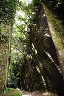 fotografia, materiale, libero il panorama, dipinga, fotografia di scorta,Mt. visto stonepit, Io lo tagliai, stonepit, scavi, L'ombra di un albero