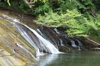 Foto, materiell, befreit, Landschaft, Bild, hat Foto auf Lager,Ein Wasserfall von Kazusa Yoro, Ufer, Yorokeikoku, heier Frhling, Urlaubsort