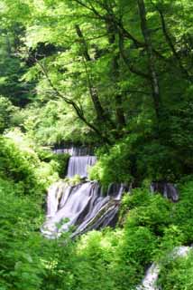 photo,material,free,landscape,picture,stock photo,Creative Commons,Steps of cascades, waterfall, stream, tender green, river