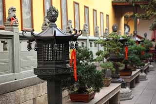 Foto, materieel, vrij, landschap, schilderstuk, bevoorraden foto,Een bal tempel, Chaitya, Tuinier lantaarn, Bonsai, Trouw