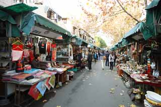 photo,material,free,landscape,picture,stock photo,Creative Commons,A curio street, store, Clothes, roadside tree, work of art