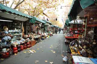 fotografia, materiale, libero il panorama, dipinga, fotografia di scorta,Una strada di curiosit, negozio, Arte ceramica, albero della strada, lavoro di arte