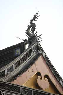 photo,material,free,landscape,picture,stock photo,Creative Commons,Hangzhou Lingying Temple, Buddhism, dragon, roof, tile