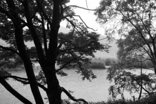 Foto, materiell, befreit, Landschaft, Bild, hat Foto auf Lager,Taisho-Teich und Bume, Teich, Baum, Wasser, 