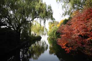 Foto, materiell, befreit, Landschaft, Bild, hat Foto auf Lager,Eine Aussicht auf Hafen des Blumenfisches, Die Oberflche des Wassers, Saiko, Der Himmel, Rot