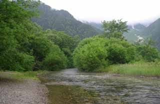 photo, la matire, libre, amnage, dcrivez, photo de la rserve,Ruisseau et arbres, rivire, arbre, eau, montagne